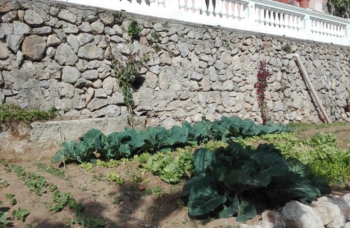 Campinola House | panoramic house on the Amalfi coast