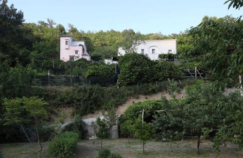 Pucara Bed & Breakfast | Pietra Rosa
