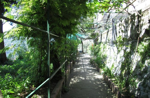 Montepertuso Apartment | Positano House B & B L'Uliveto