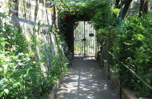 Montepertuso Apartment | Positano House B & B L'Uliveto