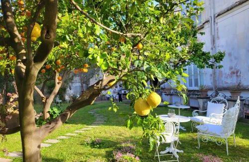 Meta House | Relais Palazzo Cacace