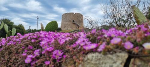 Santa Teresa di Gallura Apartment | Rena Bianca 4