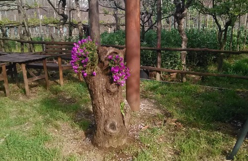 Tramonti House | RUSTIC ITALIAN VILLA
