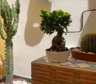Mount Vesuvius - Pompei Apartment | Sky and Green Luxury Apartament