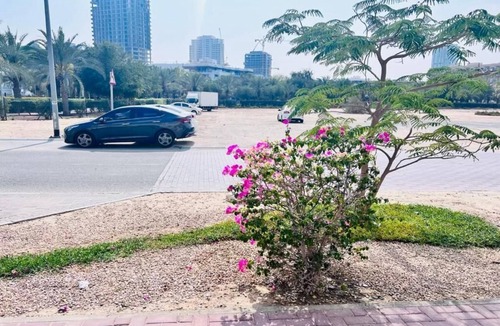 Jumeirah Village Circle Apartment | Small Single Room - STA Homes Dubainn