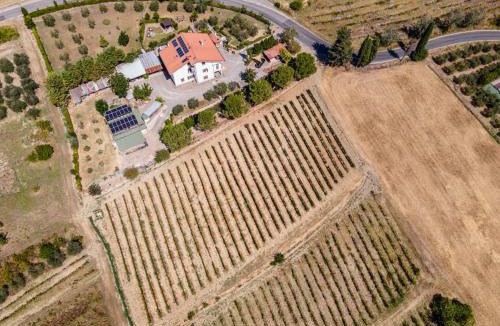 Terricciola Apartment | Sole Verde green house