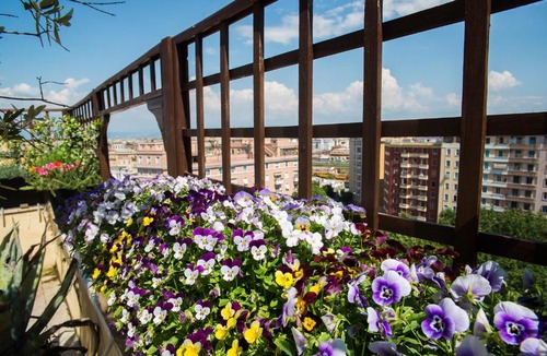San Giovanni Apartment | Terrazza Romana Axel