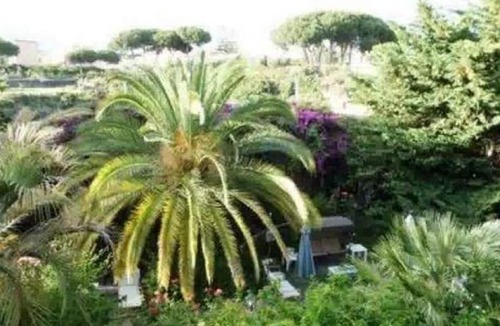 Trecase Villa | The garden of Villa Anna, Oplonti room sea view