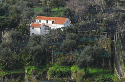 Piano di Sorrento Apartment | The house nell'agrumeto