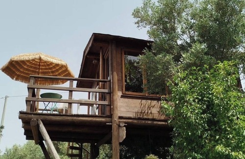 Nocera Terinese Ski Chalet | The Treehouse - Treehouse at Golden Camp