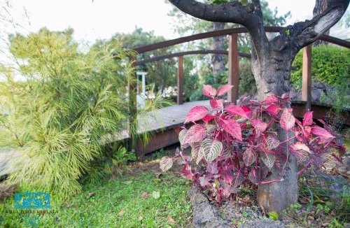 Mount Vesuvius - Pompei Bed & Breakfast | Torremerlata B&B