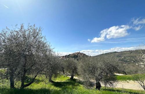 Seggiano Apartment | Tuscany Panoramic View - Relax in Val D'Orcia
