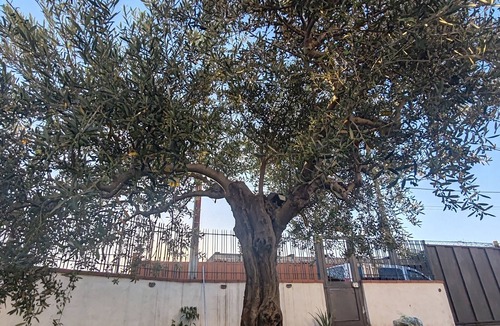 Mount Vesuvius - Pompei House | Vacation Home For Families Torre Annunziata Scavi Oplontis, Pompeia, Naples