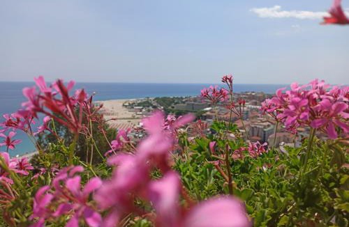 Soverato House | VelaLatina Residence B&B Soverato - Camera Scirocco