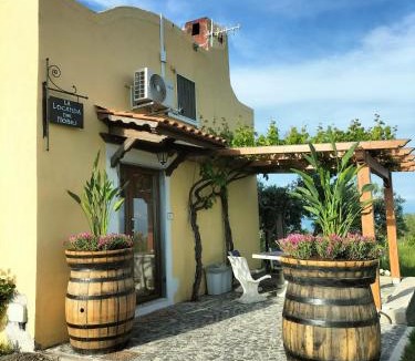 Boscotrecase House | Vesuvio Inn Guest House e Wine Experience