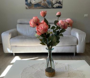 Isola del Liri Apartment | Viale Apartment