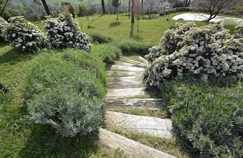 Pieve al Bagnoro House | Villa Arcanda B: A graceful apartment, with Free WI-FI.