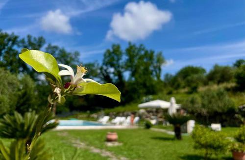 Sant'Agata de'Goti Villa | Villa con Piscina Donna Romina