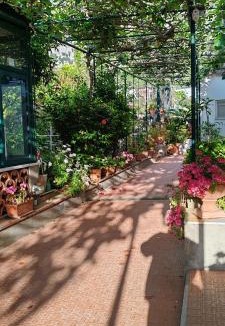 Capri Bed & Breakfast | Villa dei fiori B&B