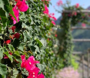 Ravello House | Villa Gelsomina