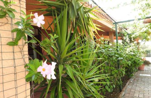 Scalea Bed & Breakfast | Villa Il Casolare