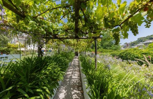 Capri House | Villa La Pergola Capri