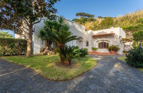 Lacco Ameno Villa | Villa Le Pagine Bianche