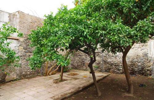 Ercolano House | villa liberata