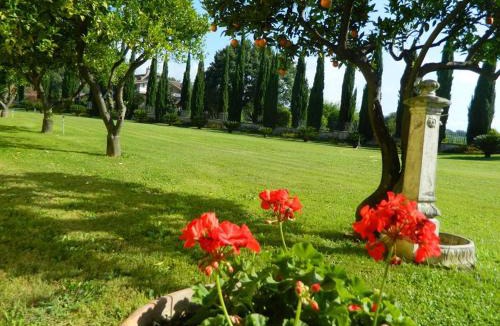 Altavilla Silentina Bed & Breakfast | Villa Lucilla