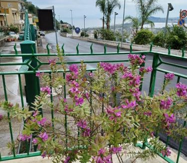 Monte di Procida Apartment | Villa Maria - Family House