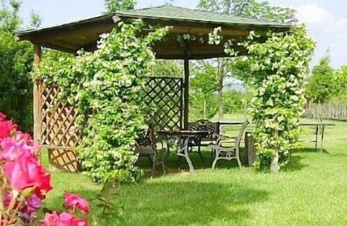 Castiglion Fiorentino House | Villa Sandia C: A cozy and welcoming apartment.