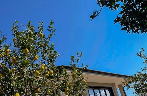 Eboli Apartment | Villa the Scent of Oranges
