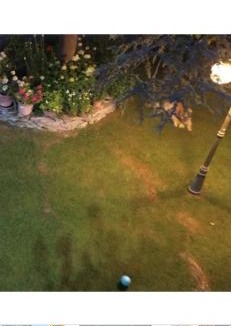 Capolona Bed & Breakfast | Villaspino