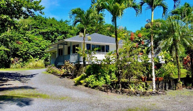 Jungle Cottage: Watch Whales