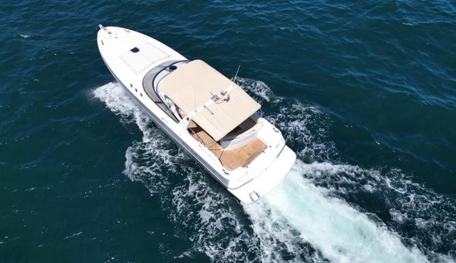 Waveoflovecharter