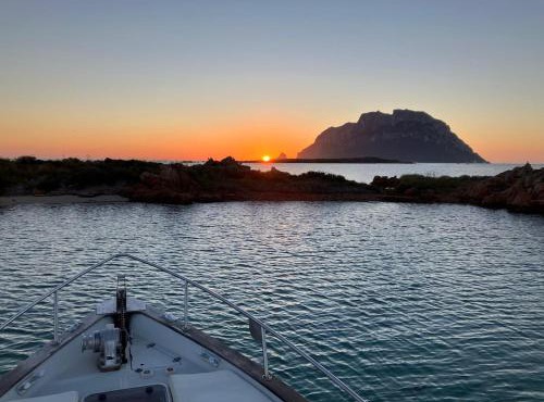 Wild Escape Island Bay Experience