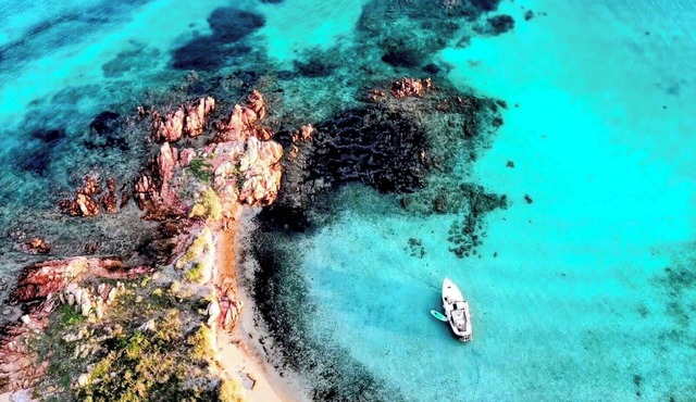 Wild Escape Island Bay Experience