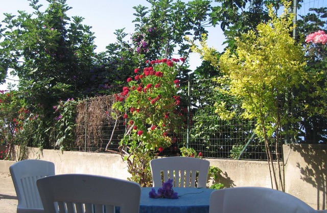 Holiday apartment Briatico for 1 - 2 persons with 1 bedroom - Holiday apartment