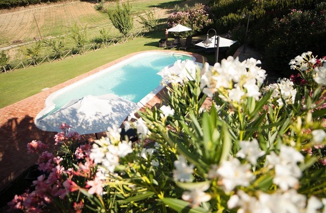 I Tigli #7, first floor flat with one bedroom in Montepulciano area. WiFi & pool