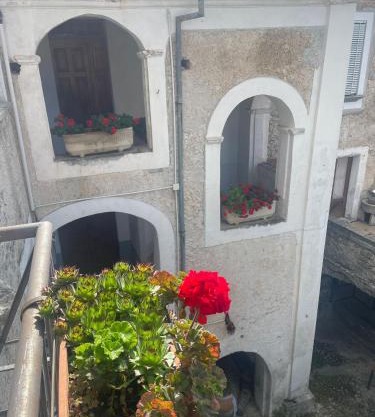 Vigna Della Signora 