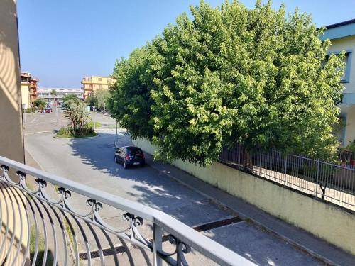 Marina di Davoli Bed & Breakfast | 18 m² Bed and breakfast ∙ 2 guests