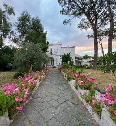 Torre del Greco Bed & Breakfast | 20 m² Bed and breakfast ∙ 3 guests