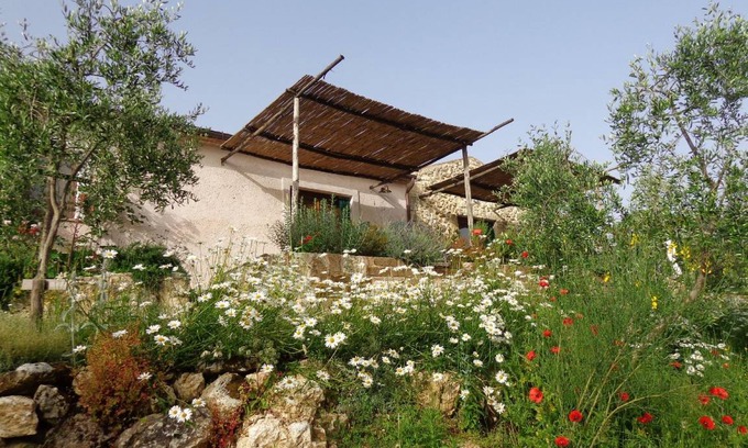 Saturnia Apartment | 25 m² Apartment ∙ 1 bedroom ∙ 3 guests