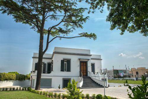 Cercola Bed & Breakfast | 28 m² Bed and breakfast ∙ 3 guests