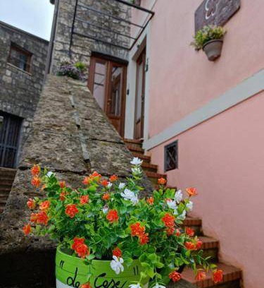 Ruviano Bed & Breakfast | 30 m² Bed and breakfast ∙ 3 guests