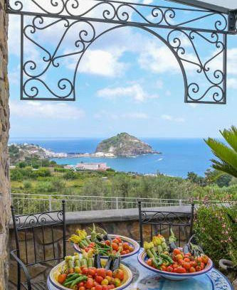 Succhivo Bed & Breakfast | 30 m² Bed and breakfast ∙ 2 guests