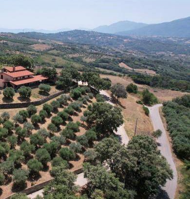 Altavilla Silentina Bed & Breakfast | 35 m² Bed and breakfast ∙ 5 guests