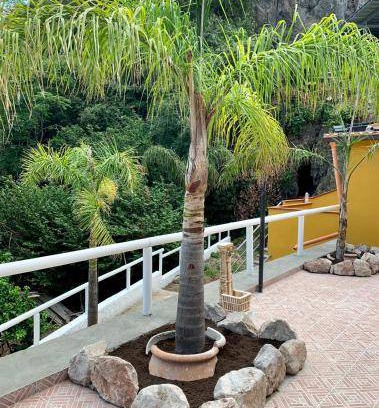 Casamicciola Terme Apartment | 60 m² Apartment ∙ 2 bedrooms ∙ 4 guests