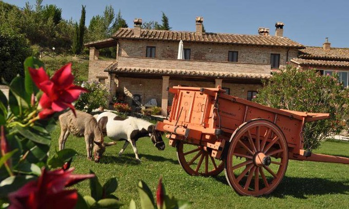 Collevalenza House | 60 m² Farmhouse ∙ 1 bedroom ∙ 2 guests