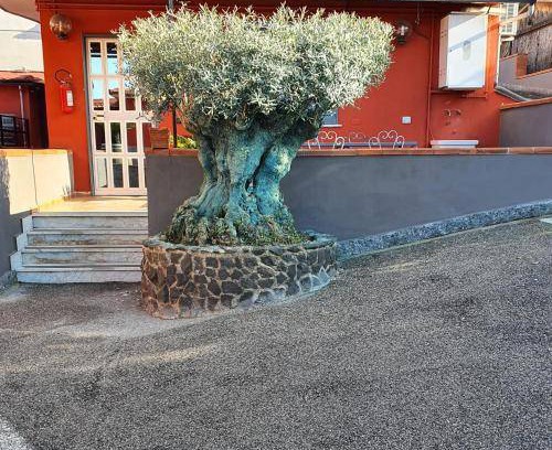 Ercolano Bed & Breakfast | 70 m² Bed and breakfast ∙ 5 guests